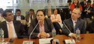 Patricia Ochoa, viuda de Gabela, durante su intervenci&oacute;n en la comisi&oacute;n que investiga el caso de la muerte de su esposo.
