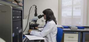 Desde 2015, la Asamblea General de la ONU acord&oacute; celebrar cada 22 de diciembre el D&iacute;a Internacional de las Mujeres y las Ni&ntilde;as en la Ciencia.