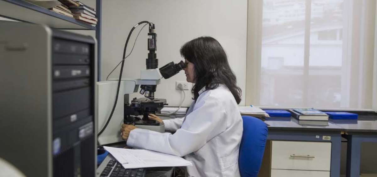 Desde 2015, la Asamblea General de la ONU acord&oacute; celebrar cada 22 de diciembre el D&iacute;a Internacional de las Mujeres y las Ni&ntilde;as en la Ciencia.