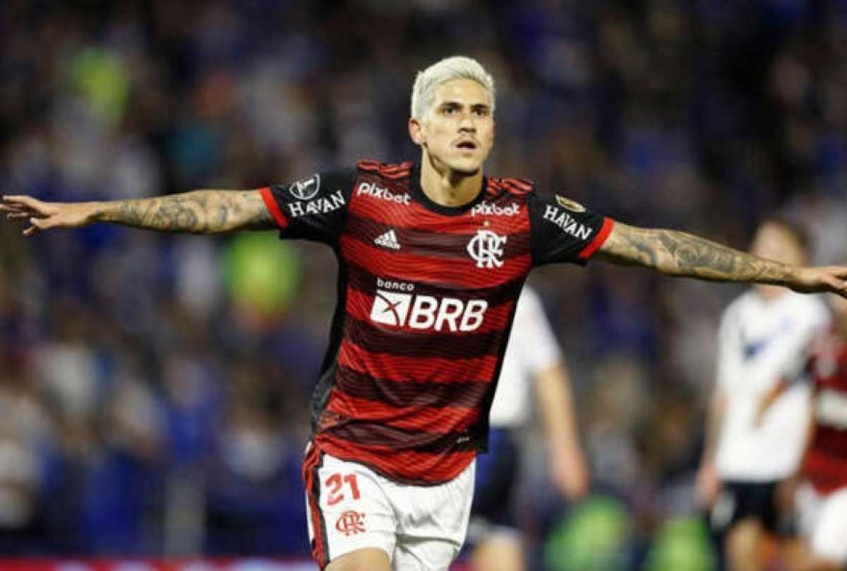 El delantero Pedro fue incluido, tras una extraordinaria Copa Libertadores.
