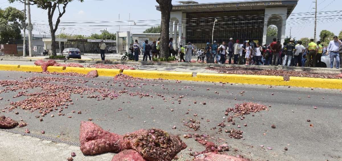 Los agricultores regaron sacos de cebolla en la avenida y bloquearon el tr&aacute;fico.