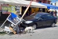 Un accidente de tránsito hizo “felices” a dos perritos. 