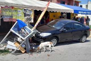 Un accidente de tránsito hizo “felices” a dos perritos. 