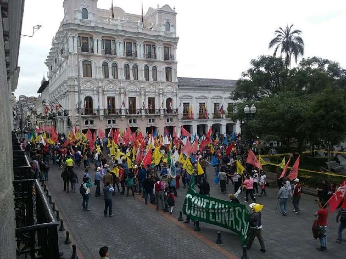 Los manifestantes llegaron hasta el Palacio de Carondelet para entregar un manifiesto. Foto: Mario Egas / EL TEL&Eacute;GRAFO