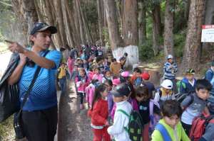 Un grupo de estudiantes recorre el paseo ecol&oacute;gico del parque El Sue&ntilde;o, en compa&ntilde;&iacute;a de maestros y padres. Foto: Jos&eacute; Mor&aacute;n / El Tel&eacute;grafo