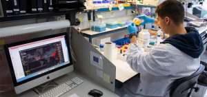 El test de covid-19, sin costo para pacientes con s&iacute;ntomas
