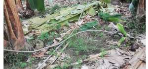Los cables arrancados quedaron tirados en el suelo. 