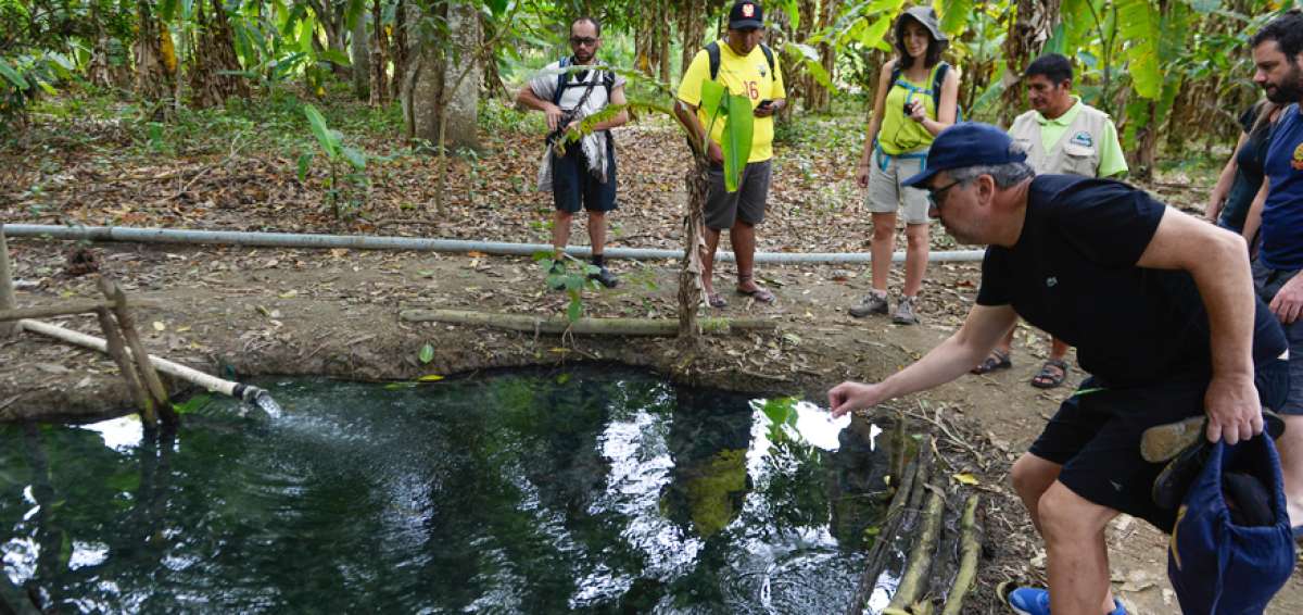 Adem&aacute;s de la laguna principal de agua azufrada, los comuneros han hecho una poza alterna para regar los sembr&iacute;os de la localidad.