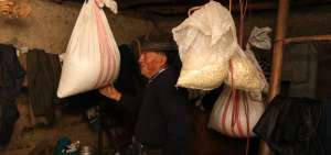 Las comunidades ind&iacute;genas del Ca&ntilde;ar se alimentan, desde tiempos ancestrales, con granos y cereales cultivados por ellos mismos. En los &uacute;ltimos a&ntilde;os la ganader&iacute;a ha ido desplazando a los sembr&iacute;os.