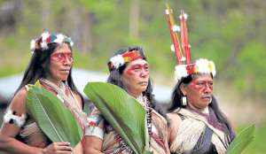 El proyecto de enmiendas cumple con el objetivo de proteger los saberes ancestrales y conocimientos de las comunidades de la Amazon&iacute;a. Foto: Archivo/El Tel&eacute;grafo