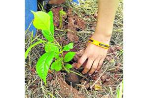 Iniciativas estudiantiles a favor del ambiente
