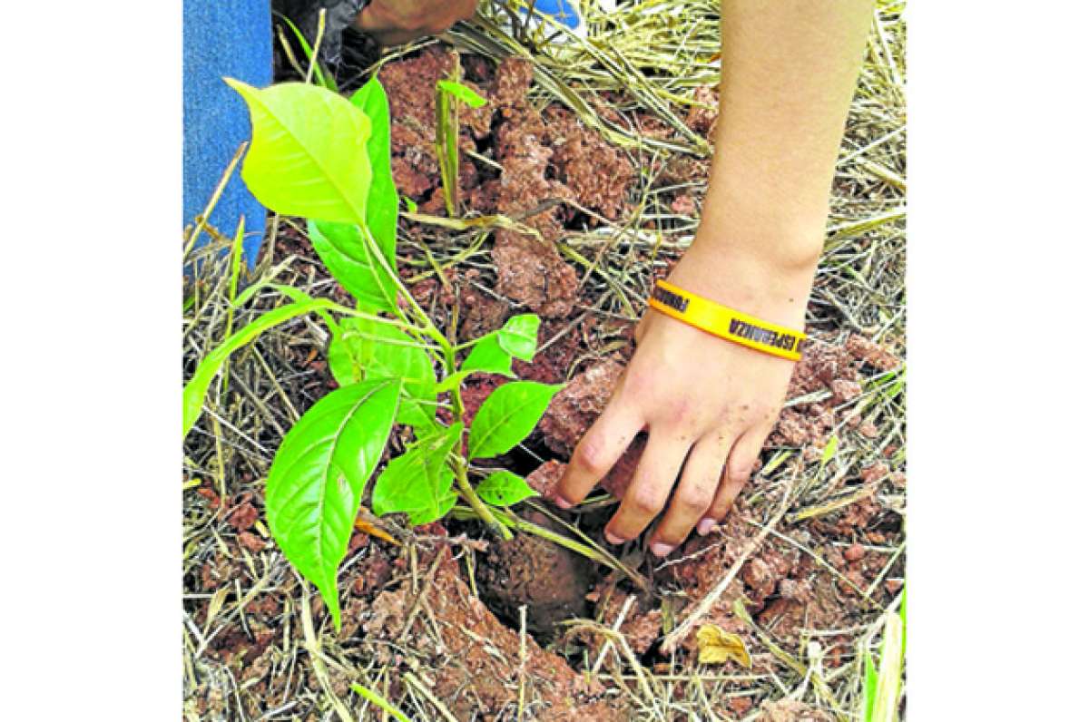 Iniciativas estudiantiles a favor del ambiente
