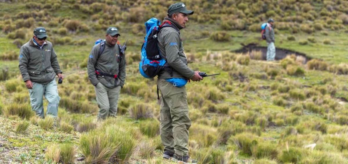 En el Parque Nacional Cotopaxi trabajan 22 guardaparques. Custodian y   protegen a diario alrededor de 33.393 hect&aacute;reas en ese espacio.  