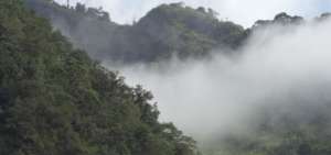 Ecuador presenta plan en el control de especies ex&oacute;ticas entre 2019 y 2029