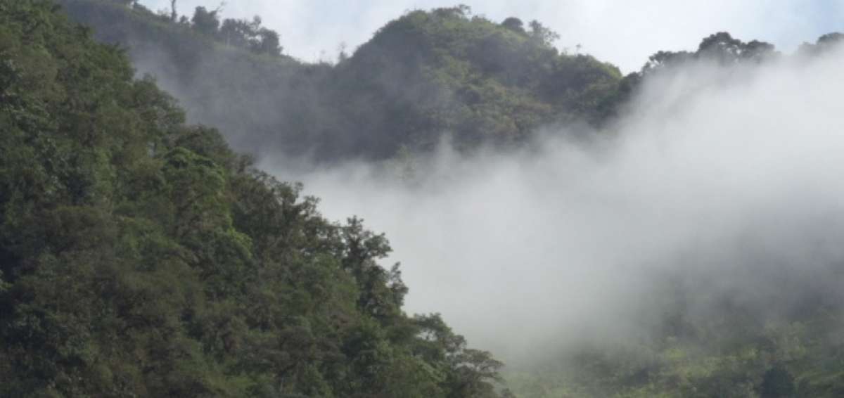 Ecuador presenta plan en el control de especies ex&oacute;ticas entre 2019 y 2029