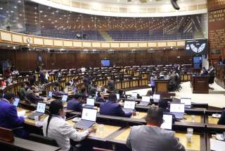 Asamblea declaró improcedente el pedido judicial de levantar la inmunidad parlamentaria de la exlegisladora Esther Cuesta.