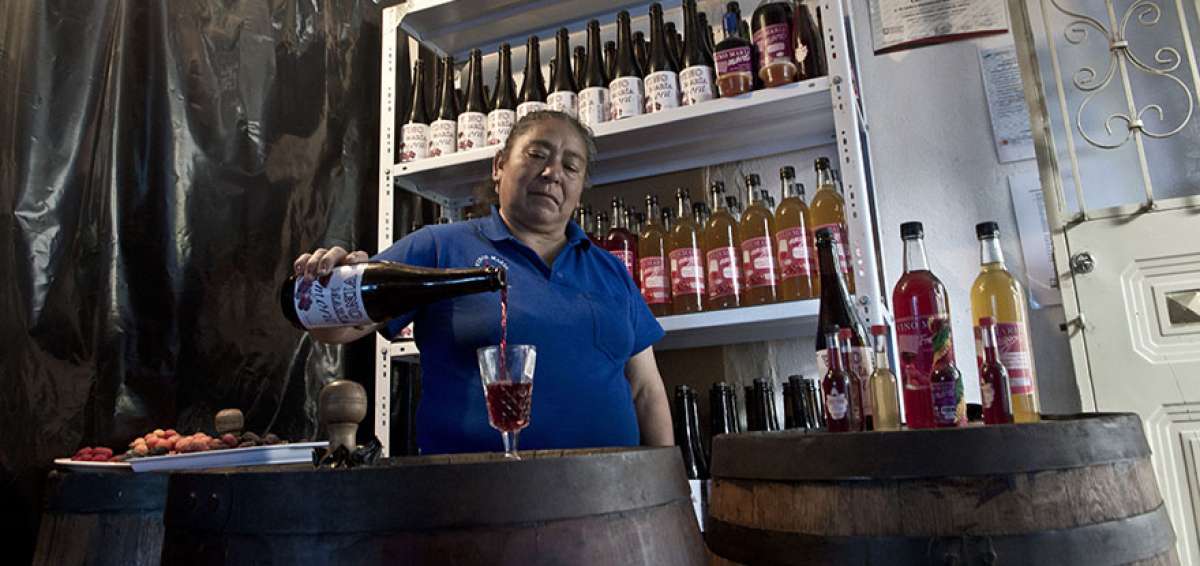 Adem&aacute;s de la preparaci&oacute;n del vino, en la casa de Mar&iacute;a &Aacute;lvarez se expenden a diario las botellas del delicioso &lsquo;elixir de la vida&rsquo;, como se conoce localmente al licor.