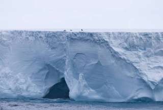 Su desplazamiento desde la Antártida podría obstruir zonas de la fauna silvestre, como focas y pingüinos, y representa un riesgo para la navegación.