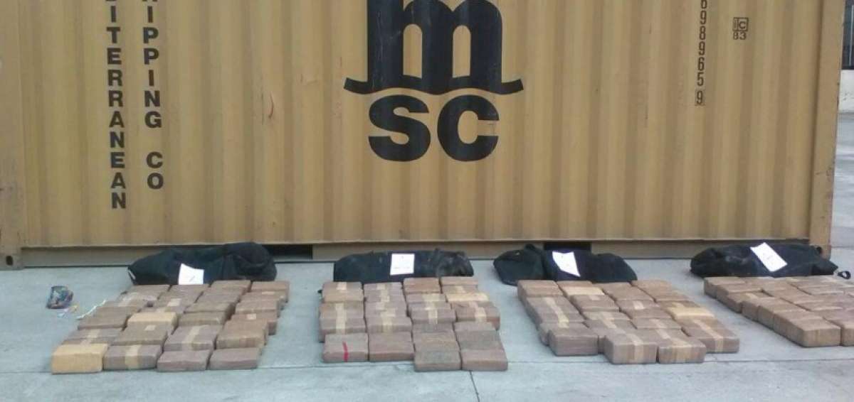 El can &lsquo;Basil&rsquo; descubri&oacute; 550 kilos de coca&iacute;na camuflados en un contenedor cargado de latas de at&uacute;n, en la Terminal Mar&iacute;tima de Guayaquil (TMG).