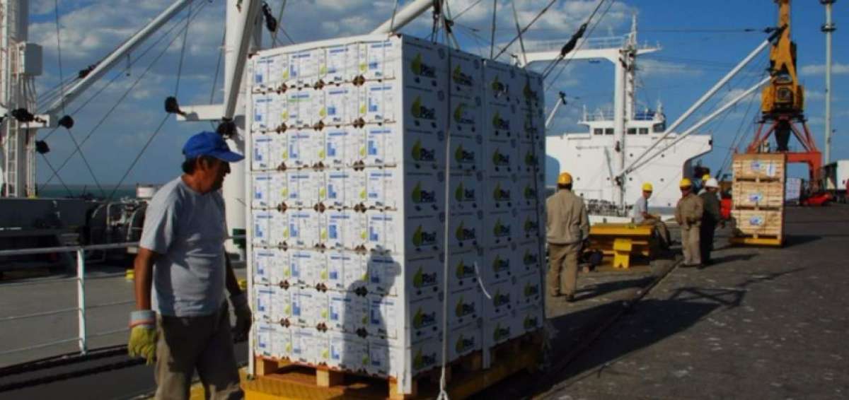 Las exportaciones se redujeron un 17% en 2015.