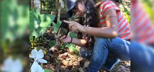 Tena logra cuatro reconocimientos en el certamen City Nature Challenge