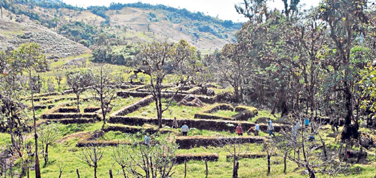 El complejo est&aacute; en el sector de Pueblo Viejo, el cual se ubica a 15 kil&oacute;metros de la ciudad de Paccha, cabecera cantonal de Atahualpa. Un estudioso de ruinas incas cree que se tratar&iacute;a de una ciudadela agr&iacute;cola. Foto: Fabrico Cruz / El Tel&eacute;grafo 