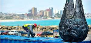Las capturas de at&uacute;n disminuyeron en 12%