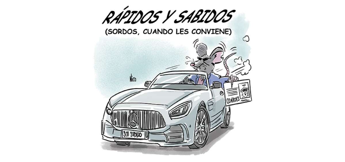Avispados
