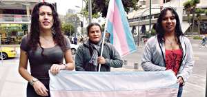La lucha de la comunidad trans se visibiliza desde los a&ntilde;os 90 y con la despenalizaci&oacute;n de la homosexualidad.