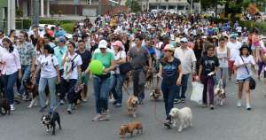 Marcha recorri&oacute; Urdesa por el D&iacute;a Mundial del Perro Callejero