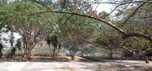 La gr&aacute;fica corresponde al sector de las canchas ubicado en la parte baja del bosque protector, en la ciudadela El Para&iacute;so.