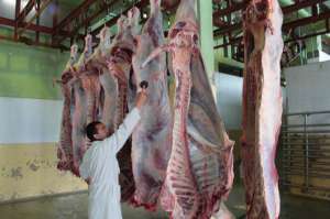 Seis camales de Tungurahua faenan carne de exportaci&oacute;n