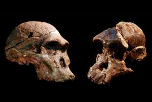 La &#039;Cuna de la Humanidad&#039; puede ser un millón de años más antigua