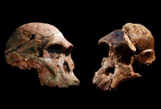 La &#039;Cuna de la Humanidad&#039; puede ser un millón de años más antigua
