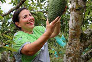 La normativa impulsa el acceso a financiamiento, capacitación y mercados para fortalecer la economía femenina en el agro.