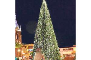 El &Aacute;rbol de Navidad es s&iacute;mbolo universal de paz