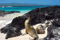 Las Islas Galápagos como destino turístico