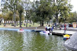 Los botes de remo, &iacute;conos de La Alameda (Galer&iacute;a)