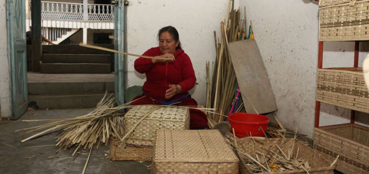 La cester&iacute;a en San Joaqu&iacute;n guarda relaci&oacute;n con la horticultura