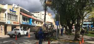 Los trabajadores realizaron la labor en el centro de Loja, con lo cual se mejora la iluminaci&oacute;n y de esta manera se brinda mayor seguridad.