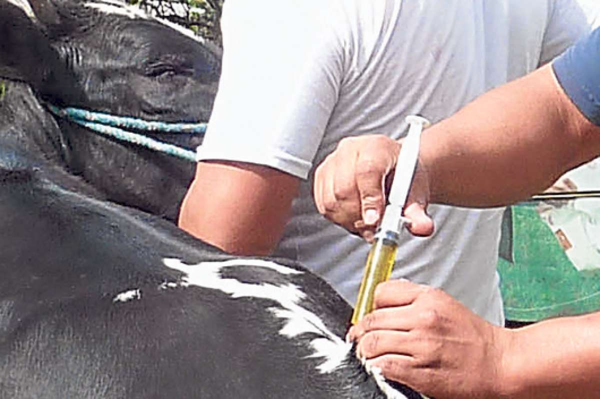 2 unidades veterinarias para Azuay