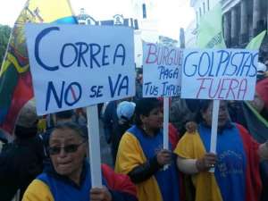 Simpatizantes de PAIS se convocaron en la Plaza de la Independencia, en el centro hist&oacute;rico de Quito. Foto: Fernando Sandoval/ EL TEL&Eacute;GRAFO