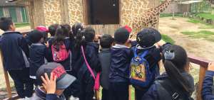 Los ni&ntilde;os son los fan&aacute;ticos m&aacute;s apasionados de los dos animales de origen africano, que viven en el zool&oacute;gico lojano desde hace tres a&ntilde;os.