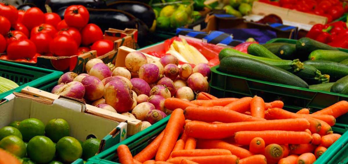 Agroalimentos generaron $ 8 mil millones hasta septiembre