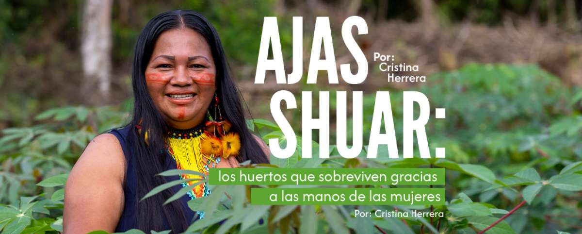 Ajas Shuar: huertos ancestrales en la Amazon&iacute;a