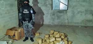 La Polic&iacute;a hall&oacute; 164 paquetes tipo ladrillo con marihuana en una vivienda en Machala.