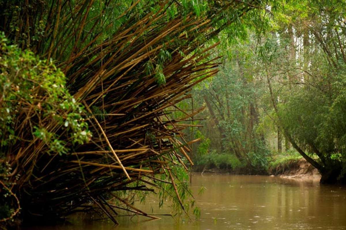 FOTO: Tomada de elpost.com.ar