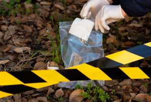 La acusada fue arrestada en el condado de Citrus, Florida, tras una investigaci&oacute;n policial.