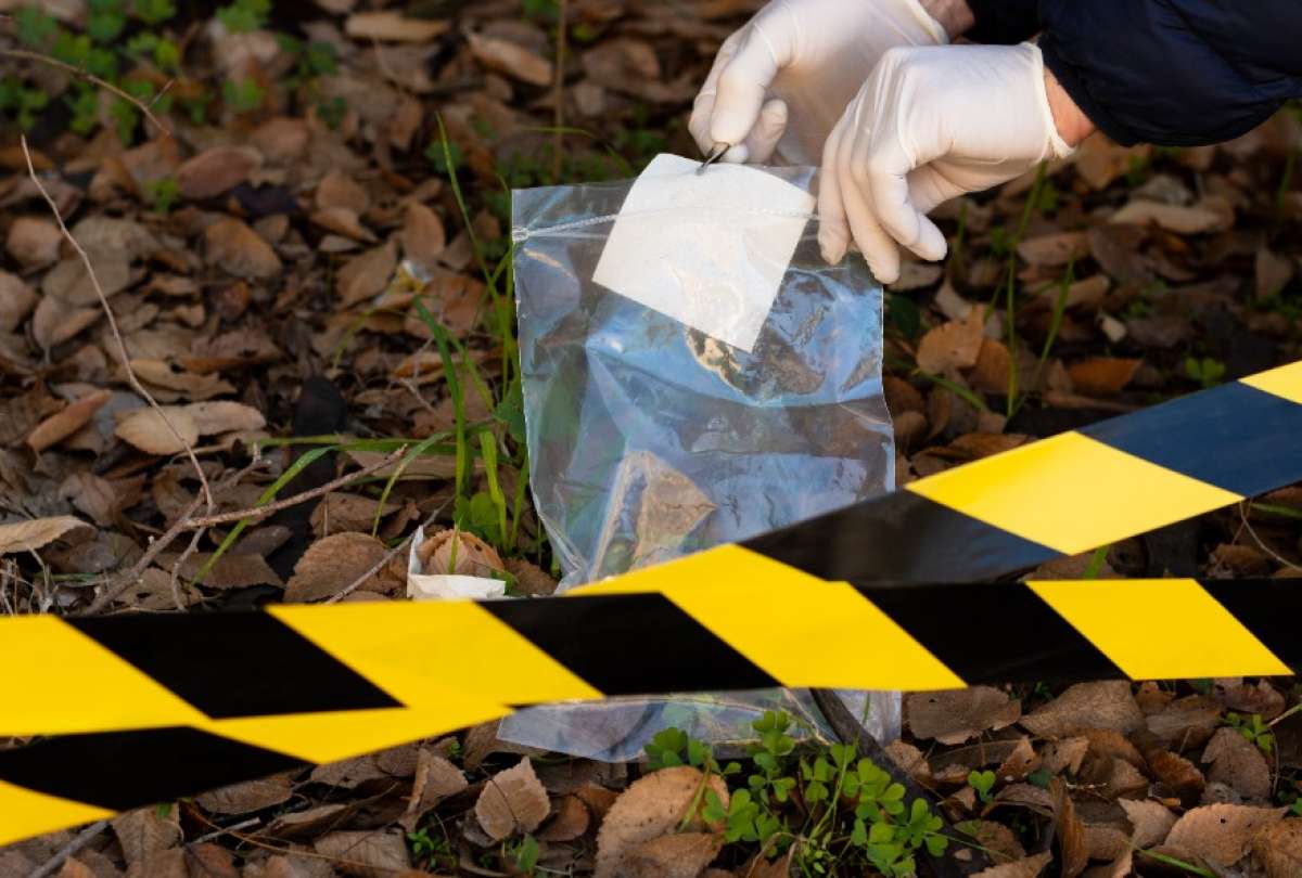 La acusada fue arrestada en el condado de Citrus, Florida, tras una investigaci&oacute;n policial.