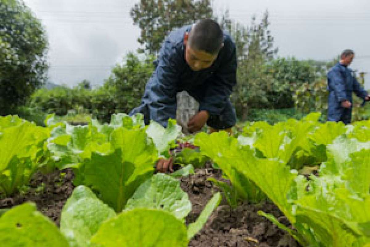 En Machachi, 110 j&oacute;venes aprenden en el campo